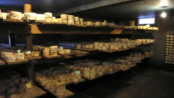 Vakantiehuis Frankrijk Saint-Front kaas